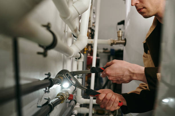 Best Same-Day Plumbing Service  in The Galena Territory, IL