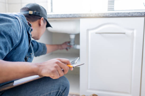 Best Affordable Plumbing Services  in The Galena Territory, IL