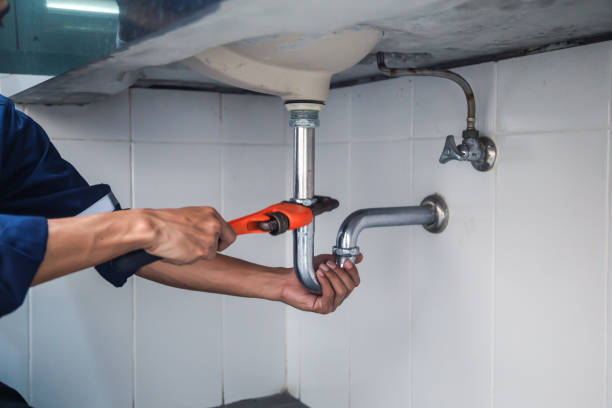 Best Clogged Drain Plumber  in The Galena Territory, IL