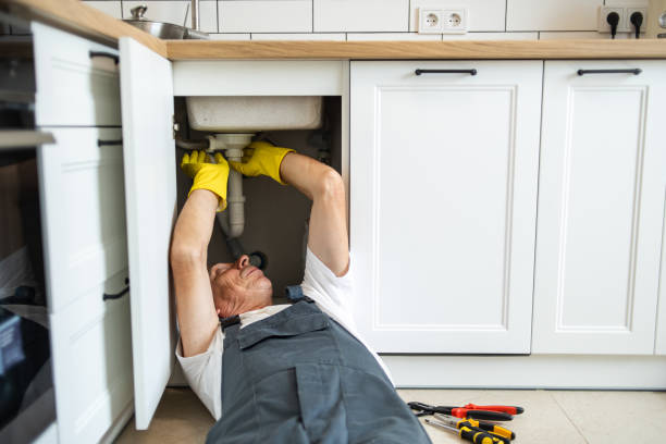 Best Residential Plumbing Services  in The Galena Territory, IL