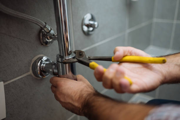  The Galena Territory, IL Plumbing Pros