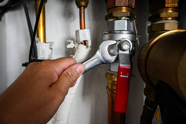 Best Commercial Plumbing Services  in The Galena Territory, IL